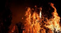 Fire-setting Amazon farmers not 'villains', just poor: Politicians