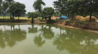 Over 700 ponds to be re-excavated to harvest rainwater