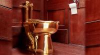 Golden toilet worth $5m stolen from UK art exhibit