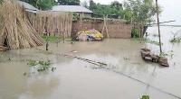 Padma continues to swell in Natore, Faridpur, Rajbari