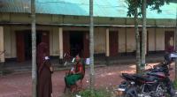 Voting ends amid low turnout in Rangpur-3 by-polls