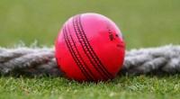 Pink-ball buzz masks visibility concerns in Kolkata test