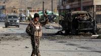 Seven killed in Afghanistan car bomb blast