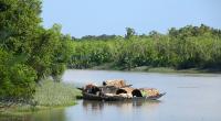Three years for the Sundarbans to recover from Bulbul