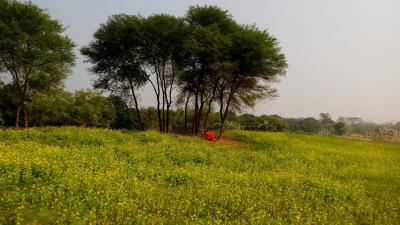 Rooppur – a village befitting its name