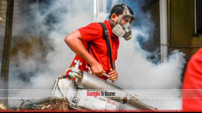Dengue drive has to be year-long: Experts