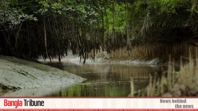 Tk 250m project to revamp Sundarbans tourism