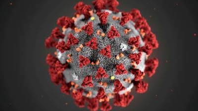 Bangladesh reports fourth coronavirus death
