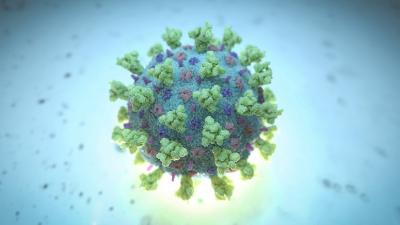 Five more test positive, virus cases rise to 44