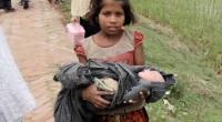 Over 30% Rohingya children chronically undernourished: Study