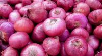 Onion prices fixed at Shyam Bazar wholesale market