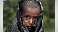 Canada declares Rohingya killings as genocide