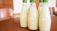 DU study finds antibiotics in pasteurised milk