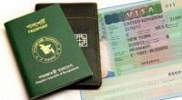 Govt considers proposal to go back to visa stamping system
