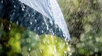 Met office predicts light to moderate rain across country