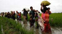 US cautions against premature return of Rohingyas