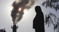 Air pollution can damage kidneys: Study