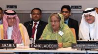 Press Myanmar for Rohingya repatriation: Hasina to OIC
