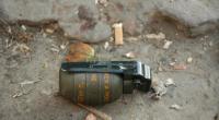 Grenade, bullets found in Paltan waste bin