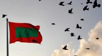 Four Maldives' election officials flee to Sri Lanka