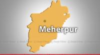 Two fish farmers hacked to death in Meherpur