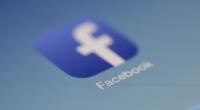 1500 Facebook IDs taken down in 20 days