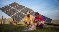 Global renewable power capacity to rise by 50% in five years: IEA