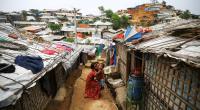 US interested in Bangladesh’s plans on Rohingyas