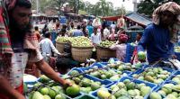 Mango trading in Rajshahi gains momentum after Eid