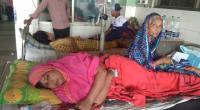 Dengue continues to sting Dhaka