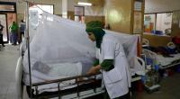 Hospitals admit 615 dengue patients in 24 hours