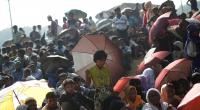 Evidence shows Myanmar's 'minimal preparations' for Rohingya return