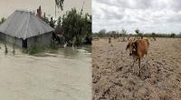 One part flooded, other side in drought