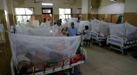 Tackling dengue: Dhaka-Kolkata contrasting pictures