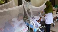Over 1,600 hospitalised for dengue in 24hrs