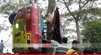 Picnic bus crash kills 7 in Feni