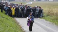 Slovenia erects more border fence to curb migrant inflow