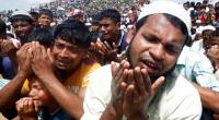 "We want to go back," say Rohingyas