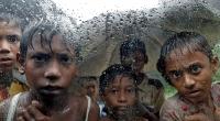 Rohingya children denied education: HRW