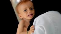 Over 29m babies born into conflict in 2018: UNICEF