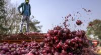 Eye-watering onion prices in Asia after India export ban