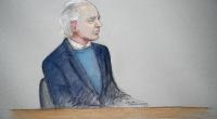 Julian Assange appears confused at extradition hearing
