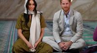 Prince Harry and Meghan the 'half royals': How will it work?