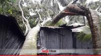 In pictures: Aftermath of cyclone Bulbul