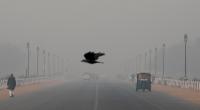 Delhi in "day-to-day battle" with smog as winter sets in