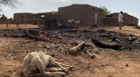 20 killed in Mali communal violence