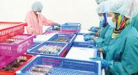 Shakib’s crab farm in Satkhira grows local workforce, exports