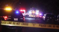 Four killed in US shooting