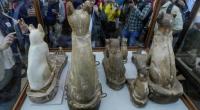 Egyptian animal mummies showcased near Cairo