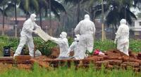 Scientists home in on potential treatments for Nipah virus